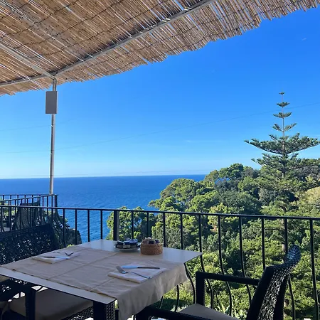 La Vega 4*