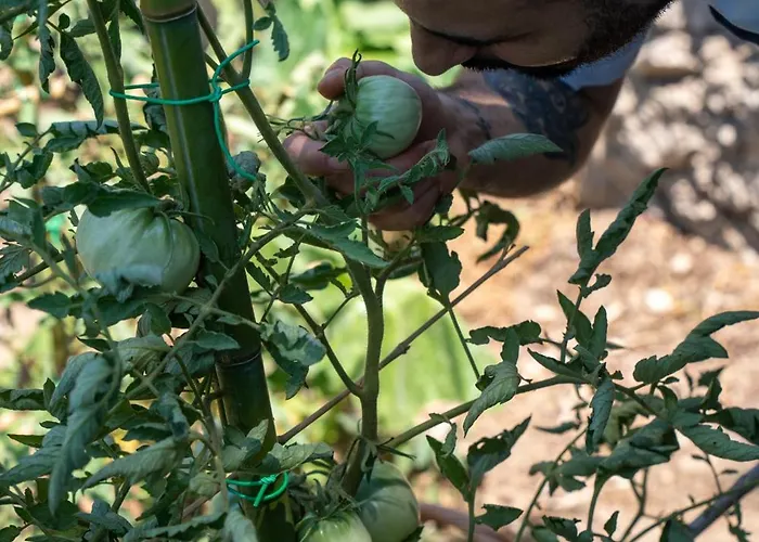 La Vega Отель 4*