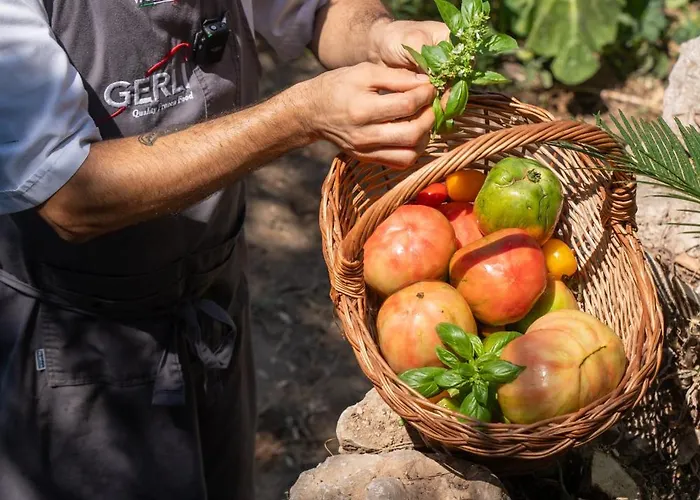 Отель La Vega 4*