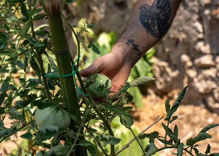 La Vega Отель Капри