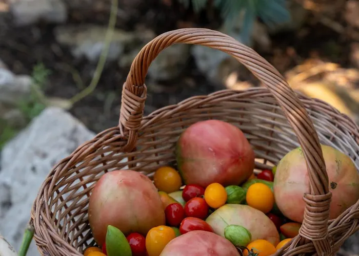 Отель La Vega 4*