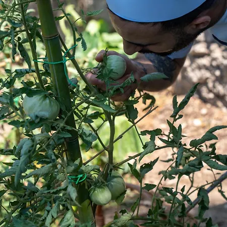 La Vega Ξενοδοχείο 4*