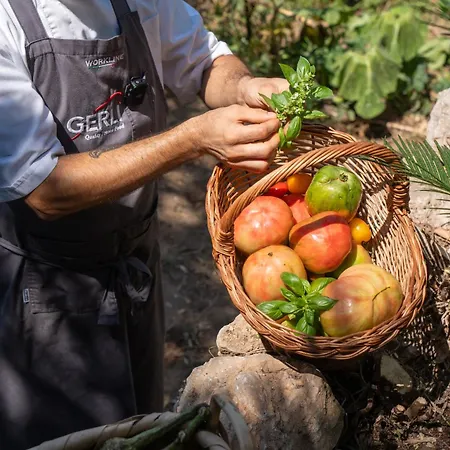 Ξενοδοχείο La Vega 4*