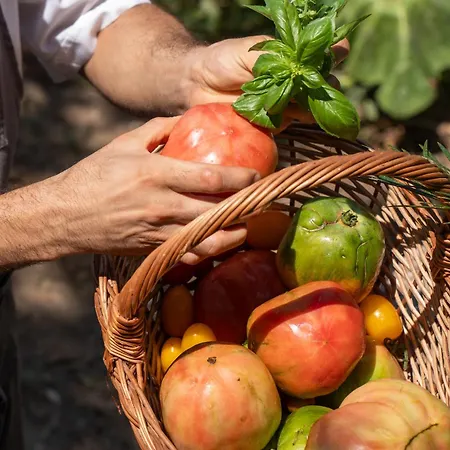 La Vega Ξενοδοχείο