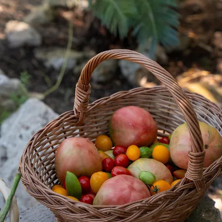 Ξενοδοχείο La Vega 4*