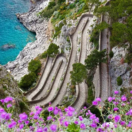 La Vega Ξενοδοχείο